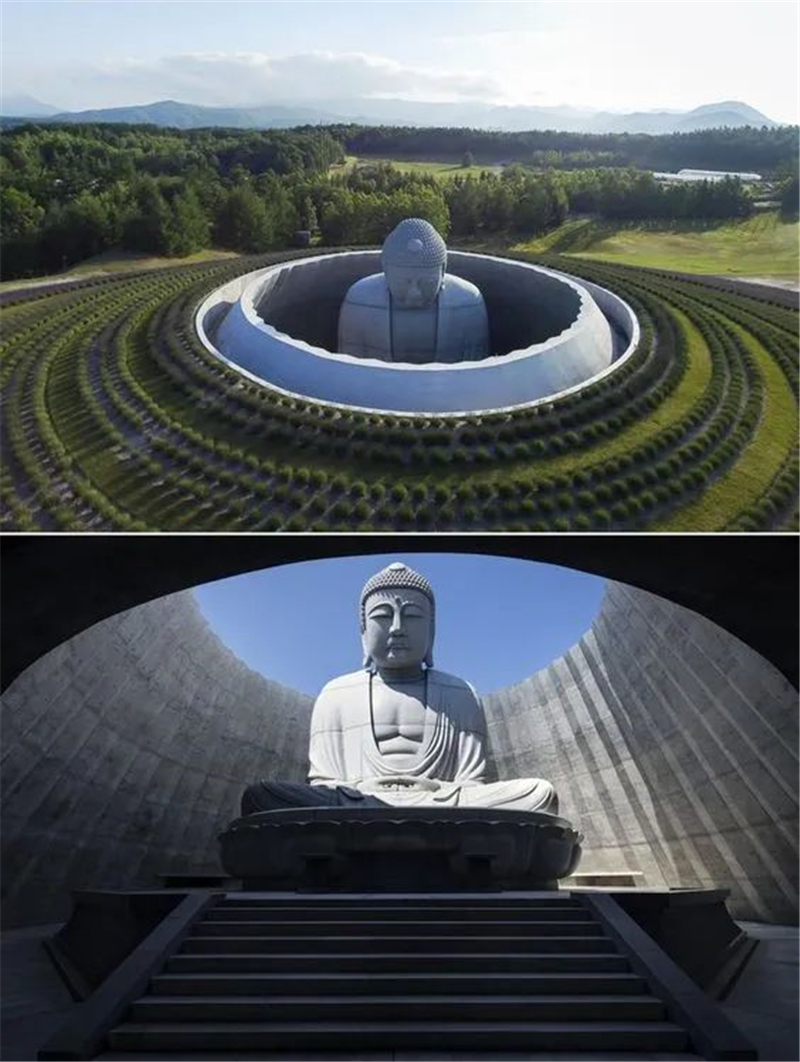 佛大頭