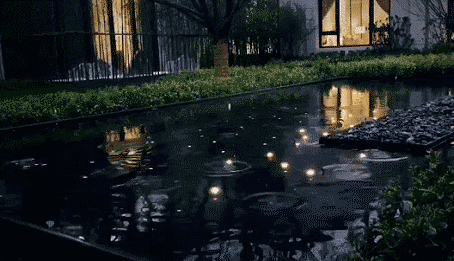 水景