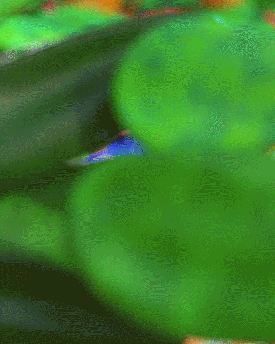3D