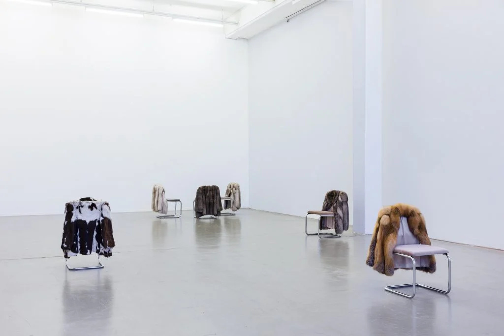 FD_29466-corr-1024x683